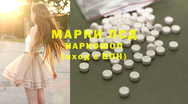 spice Бородино