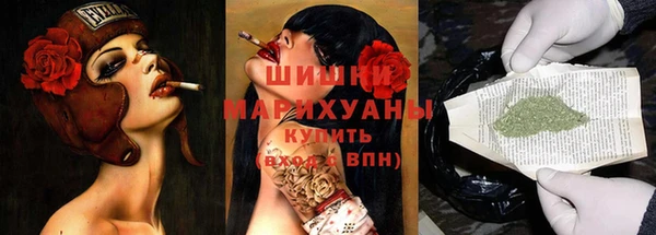 спайс Богданович
