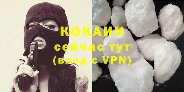 спайс Богданович