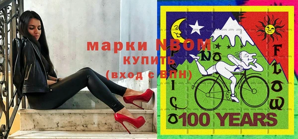 spice Бородино