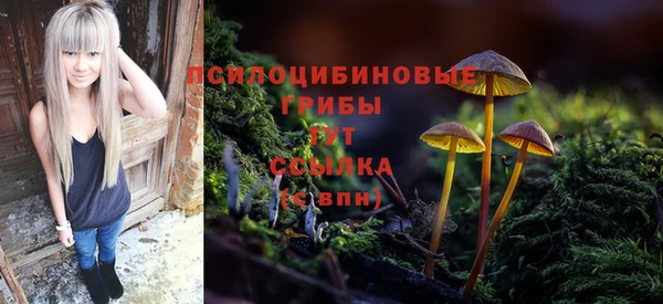spice Бородино